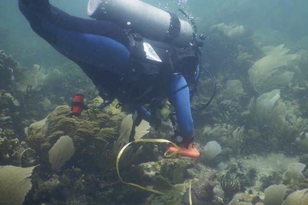 Golpea falta de dinero al Parque Nacional Arrecifes de Puerto Morelos