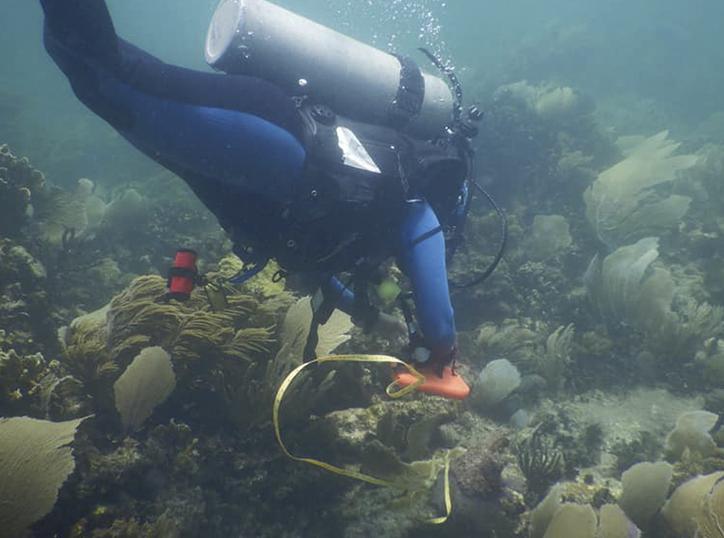 Golpea falta de dinero al Parque Nacional Arrecifes de Puerto Morelos