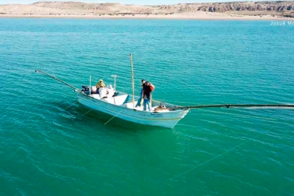 Piden pescadores del hábitat de la vaquita marina redes sustentables