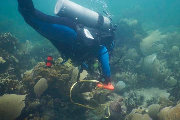 Golpea falta de dinero al Parque Nacional Arrecifes de Puerto Morelos