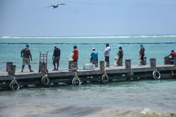 Advierten daños ambientales en Puerto Morelos