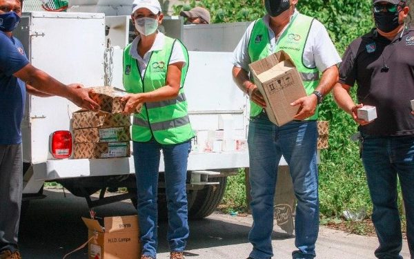 Laura Fernández da mantenimiento al alumbrado público de Leona Vicario