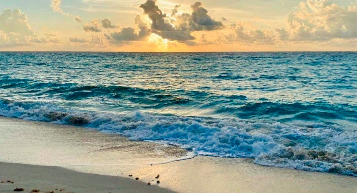 Contaminan cubrebocas mar de playa Tortugas, en Cancún