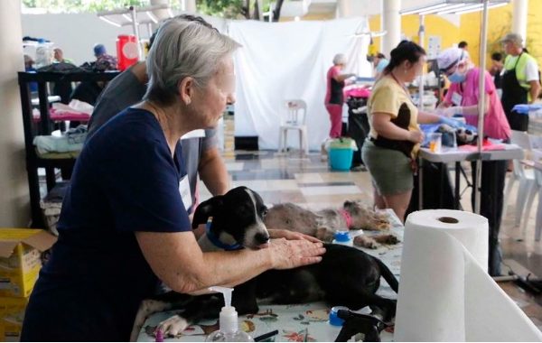 Cancún: Alistan jornada de vacunación antirrábica en el norte de Q. Roo