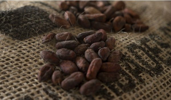 México celebra por primera vez el ‘Día Nacional del Cacao y el Chocolate’