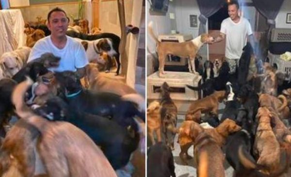 Hombre que resguardó a más 300 perros dice “No se olviden de nosotros”