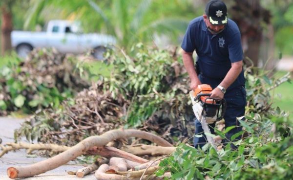 Efectúan intensas labores de limpieza en Puerto Morelos