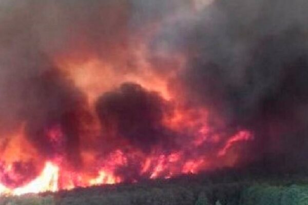 Se registra incendio forestal se registra en la Sierra de Arteaga