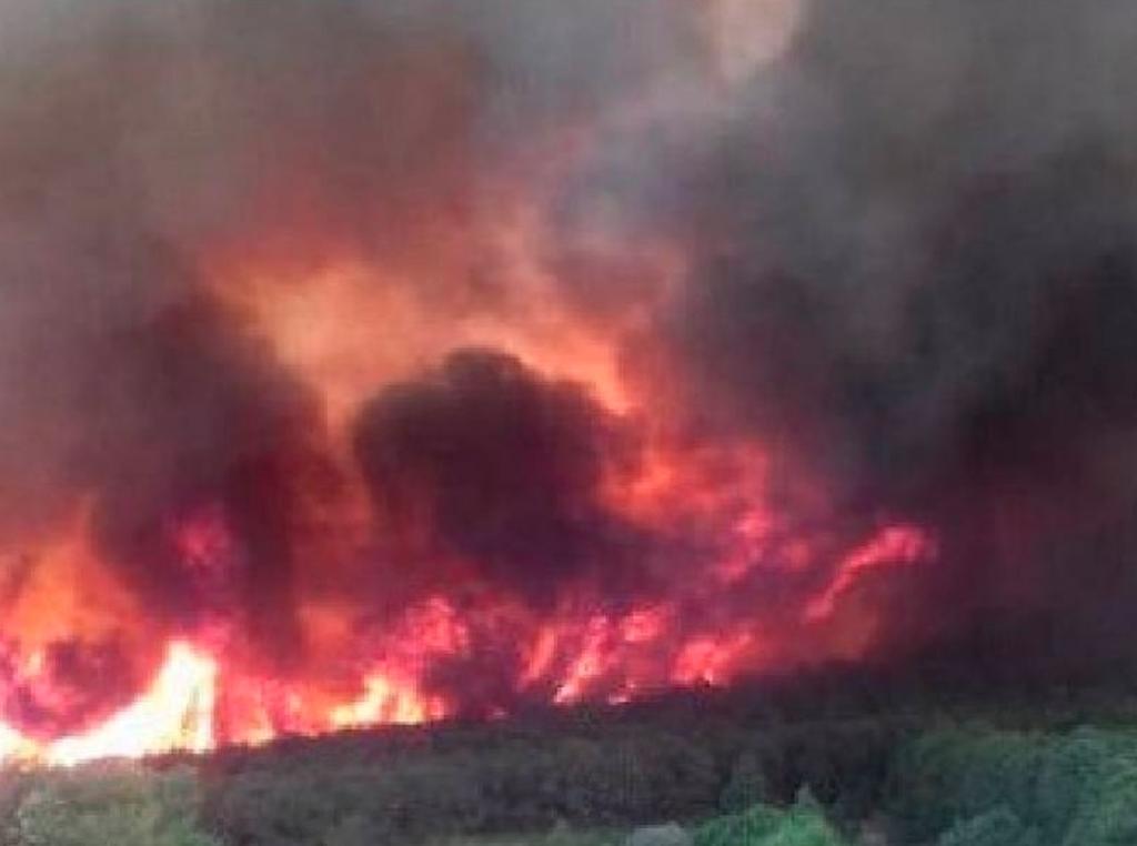 Se registra incendio forestal se registra en la Sierra de Arteaga