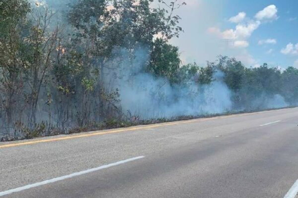 Puerto Morelos afectado ya por 8 incendios forestales