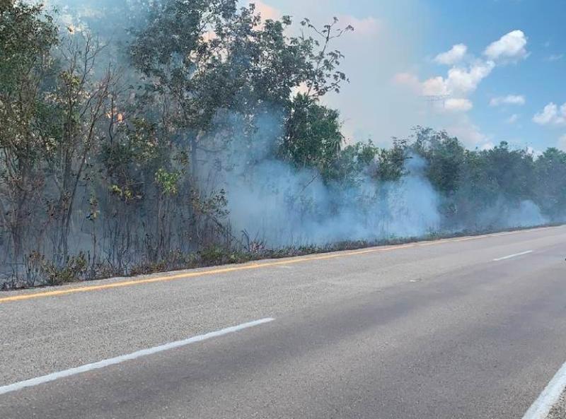 Puerto Morelos afectado ya por 8 incendios forestales