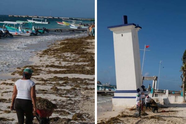 Puerto Morelos: Mantienen limpieza de playas ante recale de sargazo