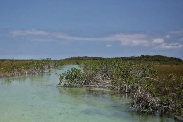 Particulares donan 300 ha para que sean área protegida en Puerto Morelos