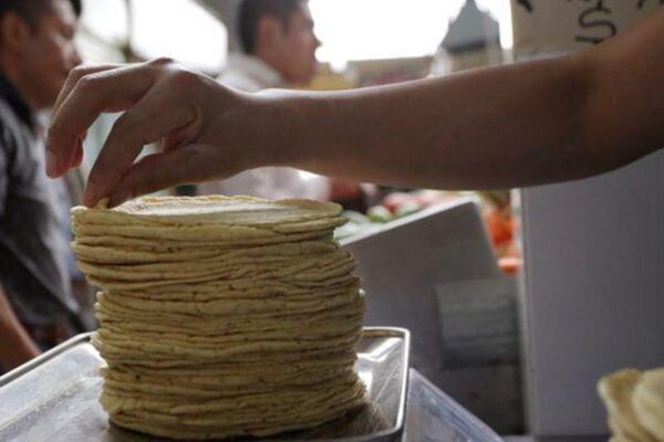 Así ha aumentado el precio de la tortilla en todo México en los últimos 10 años