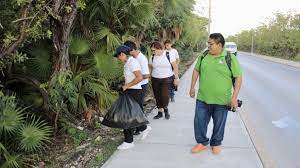 LIMPIAN JÓVENES EL MANGLAR PARA REVITALIZARLO EN EL ACCESO A PUERTO MORELOS