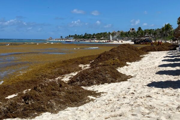 Pese a sargazo, Quintana Roo registra alta ocupación hotelera