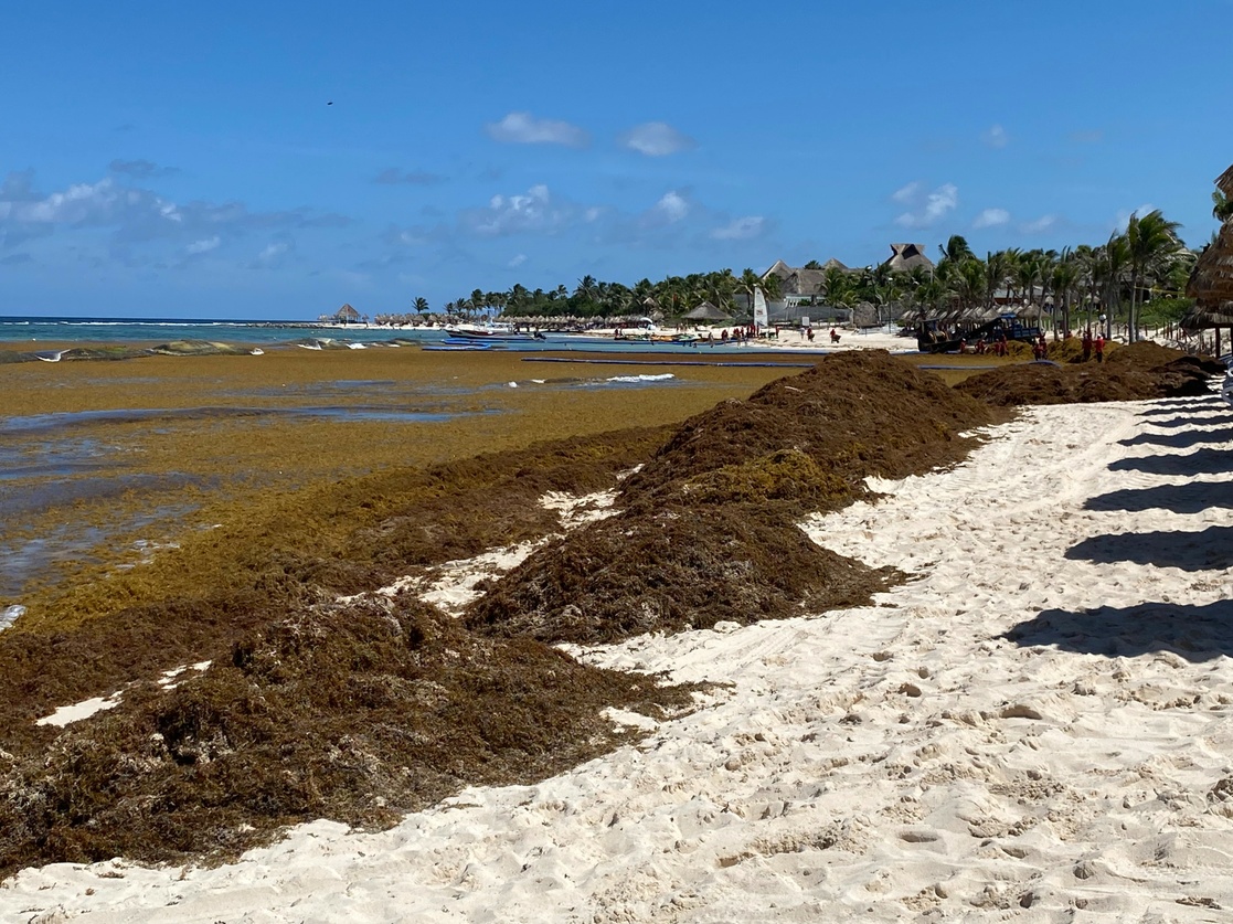 Pese a sargazo, Quintana Roo registra alta ocupación hotelera