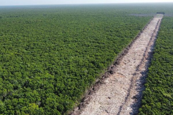 No expropiar terrenos, la última promesa incumplida del gobierno sobre el Tren Maya