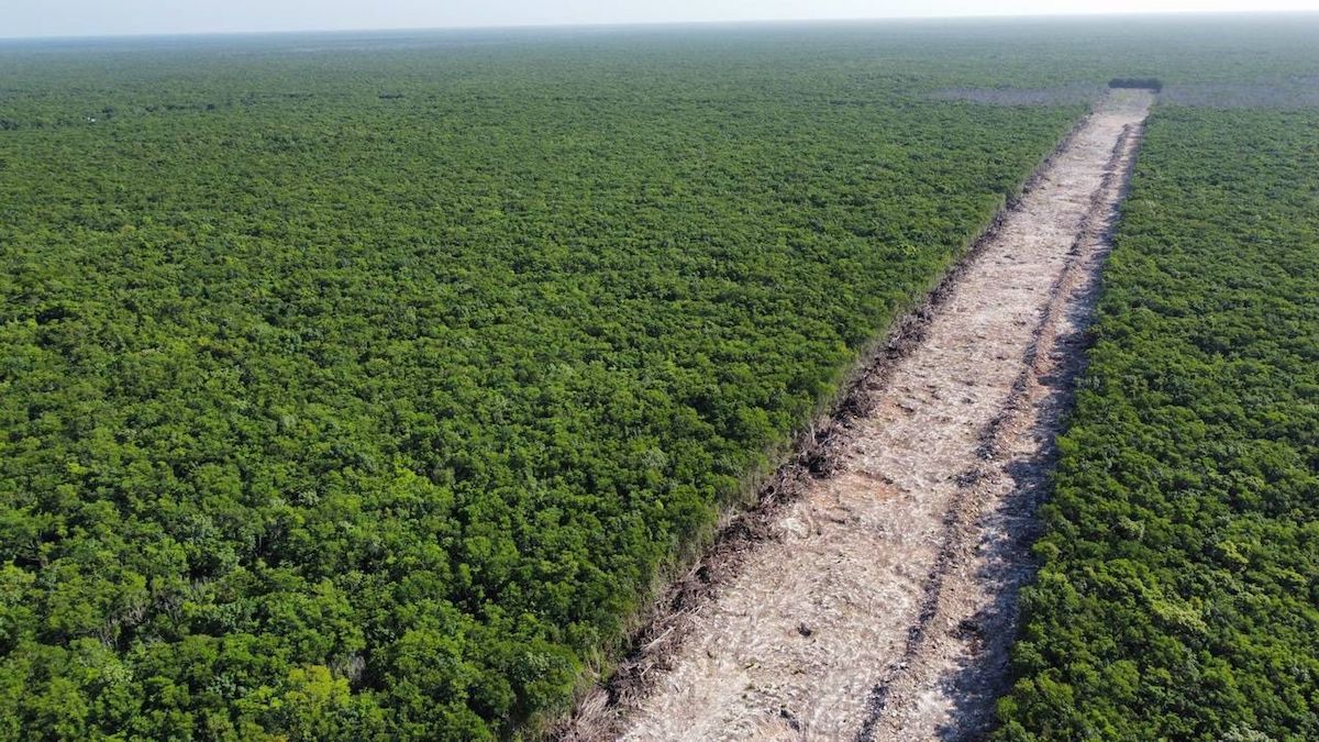 No expropiar terrenos, la última promesa incumplida del gobierno sobre el Tren Maya