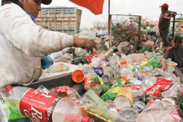 Ambientalistas de Tamaulipas piden sanciones para combatir uso de bolsas de plástico