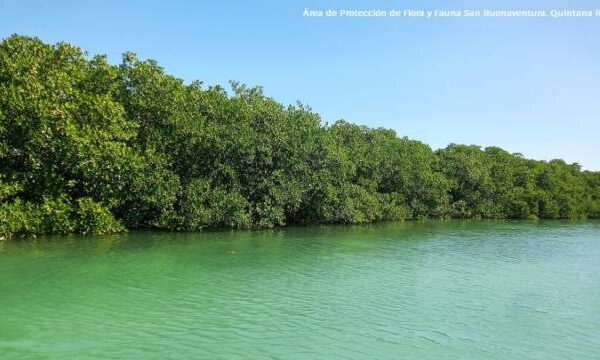 Gobierno de Quintana Roo busca crear dos nuevas áreas naturales protegidas