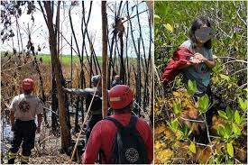 Rescatan a niña perdida en la selva de Quintana Roo durante una semana; así sobrevivió