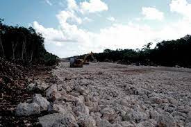 DESCARGAR BALASTRO DE CUBA EN PUERTO MORELOS TRAERÍA DAÑOS AMBIENTALES, ADVIERTE ACTIVISTA