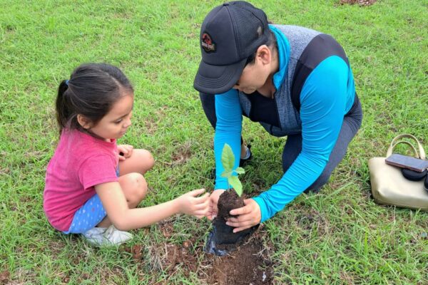 Se Plantaron 5 Mil 500 Árboles De Manera Simultánea En Los 11 Municipios De Quintana Roo