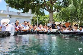 Puerto Morelos: Alumnos del Colegio de Bachilleres reciben tina acuícola