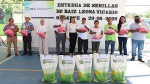 Entrega Blanca Merari Tziu semillas de maíz a productores