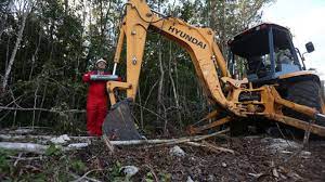 Fonatur anuncia que ya no hay más amparos que detenga al Tren Maya