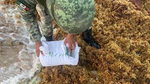 Ejercito Mexicano resguarda droga hallada en costas de Puerto Morelos