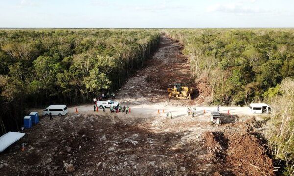 Semarnat aprueba el Tramo 5 norte del Tren Maya