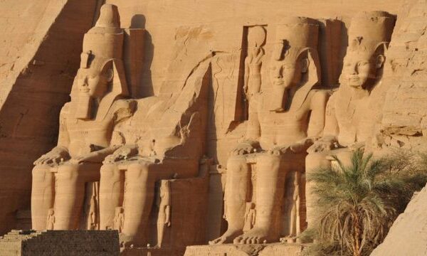 Hallan en Egipto más de 2 mil cabezas de carnero momificadas en un templo del faraón Ramsés II