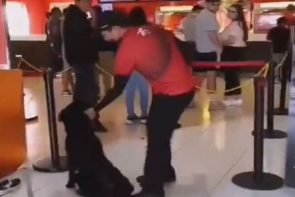 Empleado de Cinemex causa indignación por maltratar a un perro