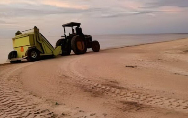 Luce Puerto Morelos playas sin sargazo para este fin de semana