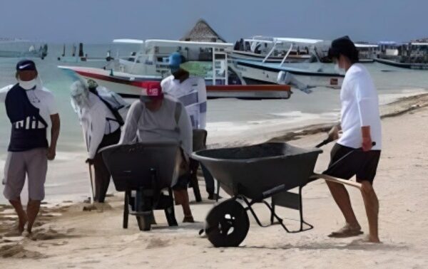 Invitan a limpieza de playa en Puerto Morelos; así puedes participar