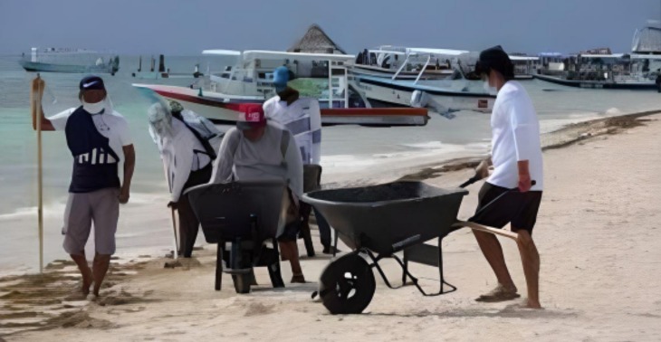 Invitan a limpieza de playa en Puerto Morelos; así puedes participar