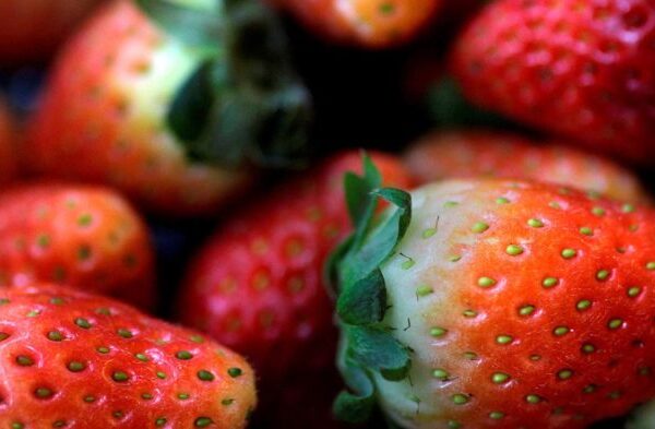 Alerta: Investigación de hepatitis A por fresas mexicanas