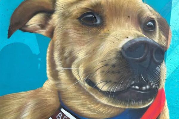 ¡Increíble! El Chicles, el famoso perrito tijuanense se convierte en una leyenda en un impresionante mural