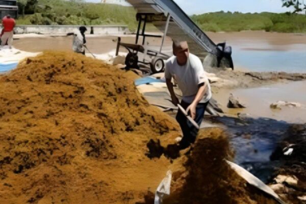 Suman 18 mil toneladas de sargazo retiradas en Quintana Roo