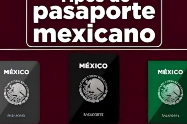 ¿Qué significa cada color del pasaporte en México?