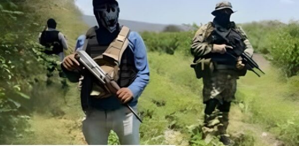 El narcotráfico floreció en México con ayuda del Estado