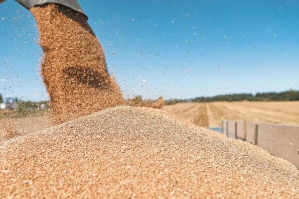 México está en el top 5 de los países con mayor importación de cereales