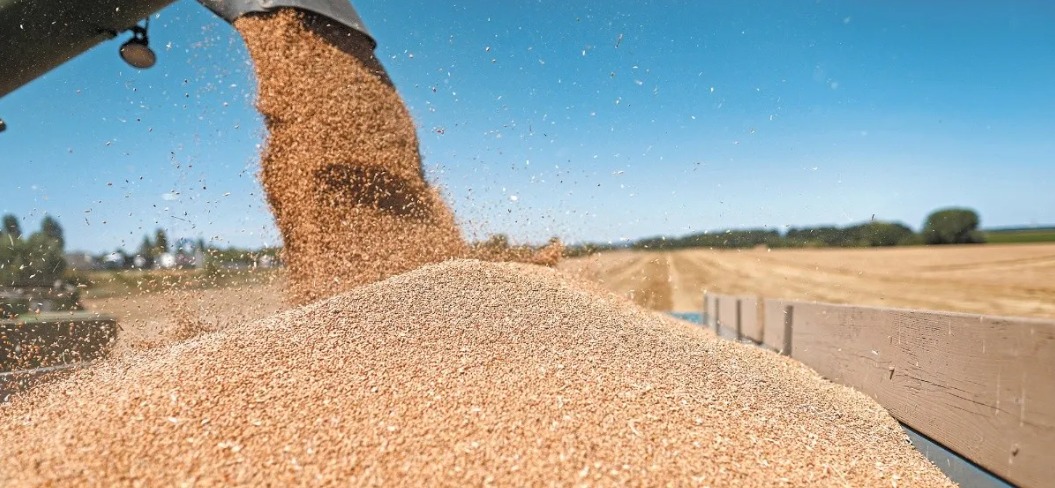 México está en el top 5 de los países con mayor importación de cereales