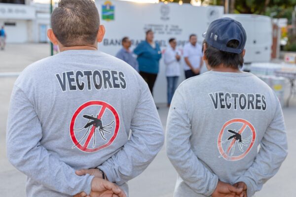 Ayuntamiento de Tulum activa Operativo de Fumigación para prevenir el dengue, zika y chikungunya