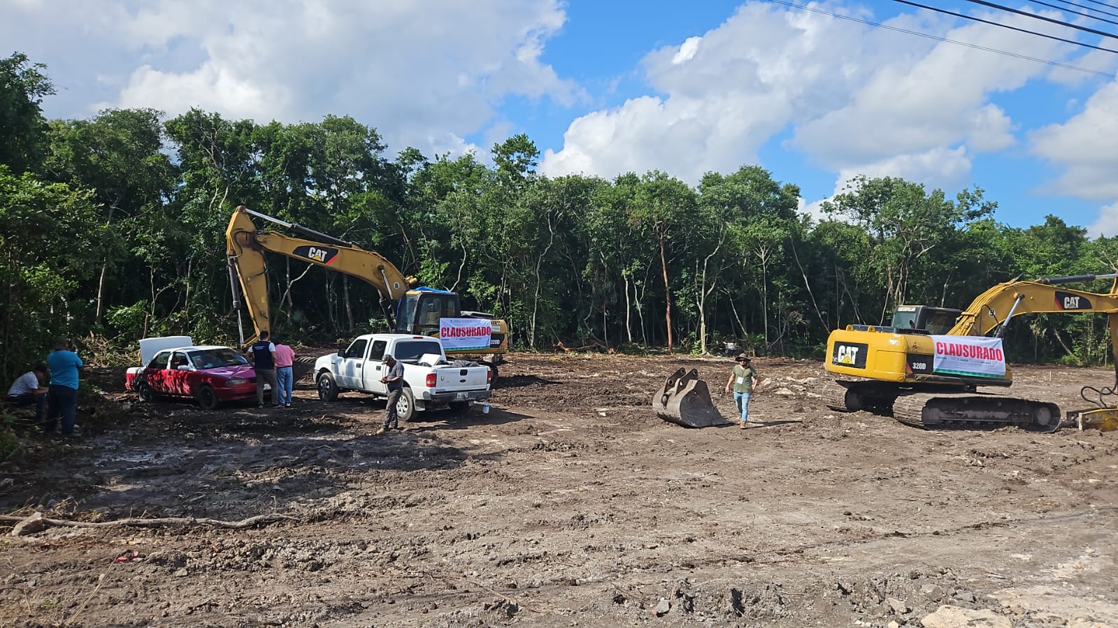 Clausuran desmonte ilegal en Puerto Morelos