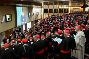Cardenales perfilan al nuevo Papa; un pastor preocupado por la gente y el cambio climático