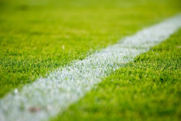 Dos mexicanos y un costarricense castigados por tentativa de amaño en fútbol de Costa Rica