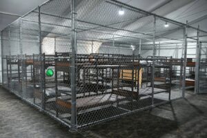 Sheinbaum confirma que hay 14 mexicanos en “Alligator Alcatraz”